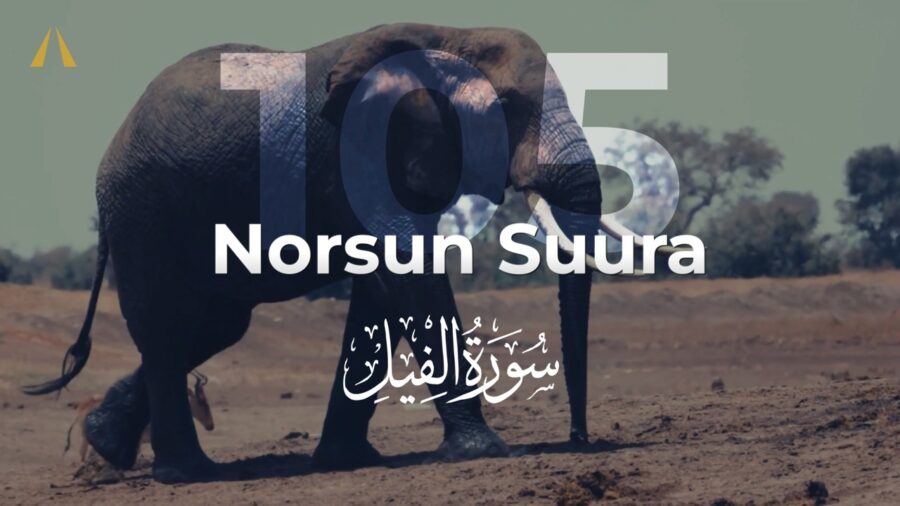 سوورەتی فیل | Al-Fil